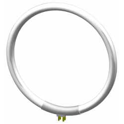 Tube Circline 22W pour Laboloupe Roundy - LESA