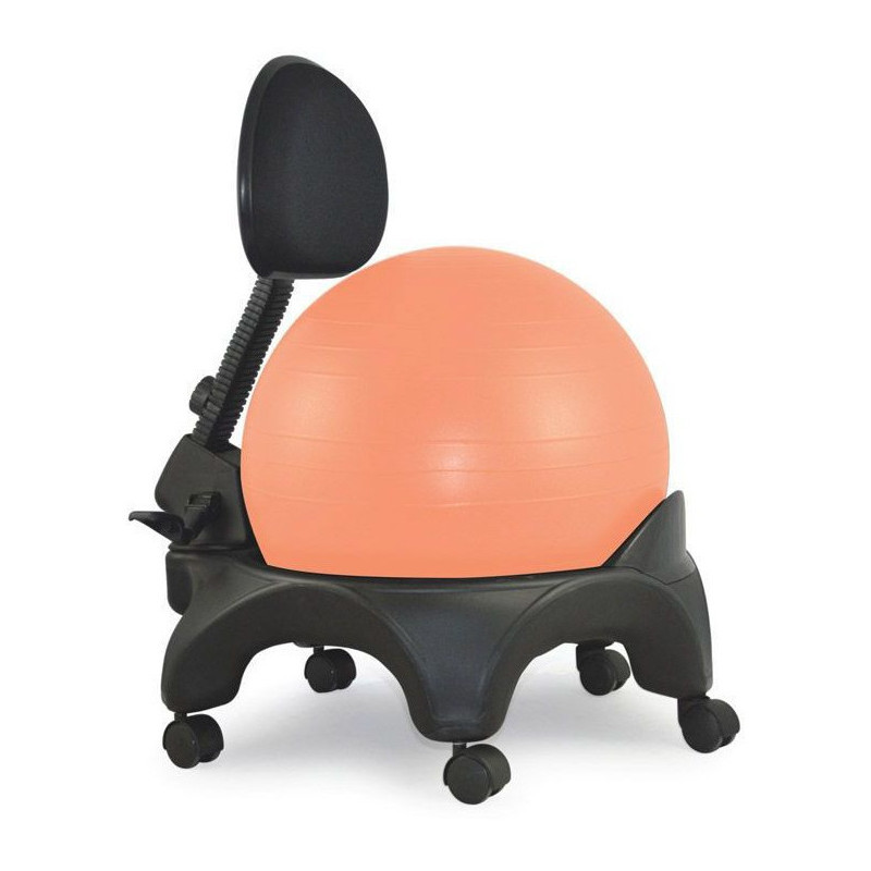 Active Chair/Chaise Ergonomique avec Ballon D'exercise/balles D'exercices  Mixte Adulte, Renforcez Votre Exercice De Base, Fabriqué en ABS + PE  Ajustez